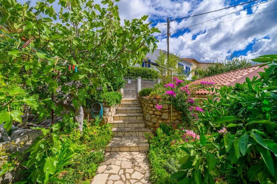 Bozena Apartment in Mali Losinj