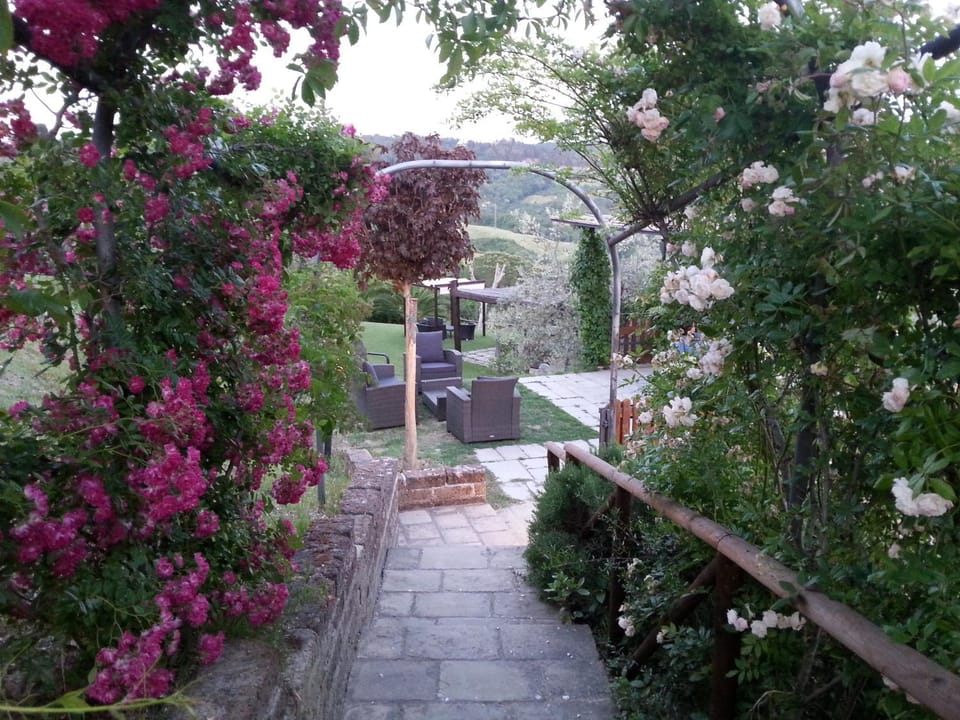 Spring, Garden, On site, Garden view
