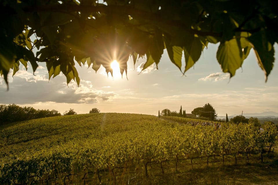 Natural landscape