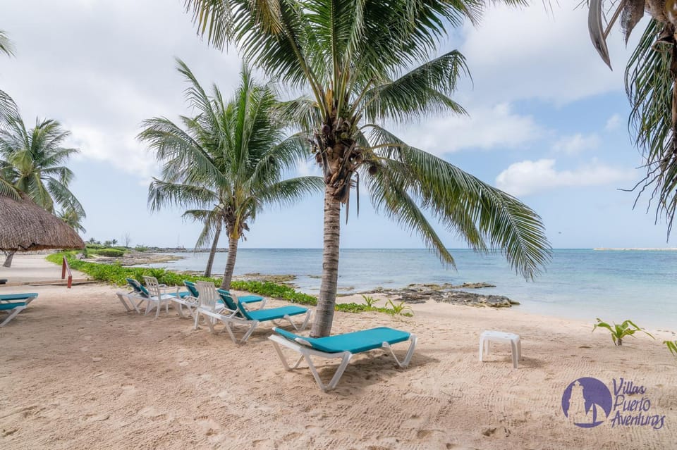 Beach, Sea view, sunbed
