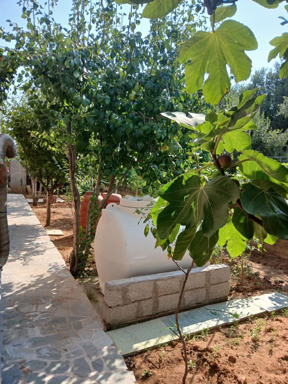 Artemis Villa Villa in Halkidiki