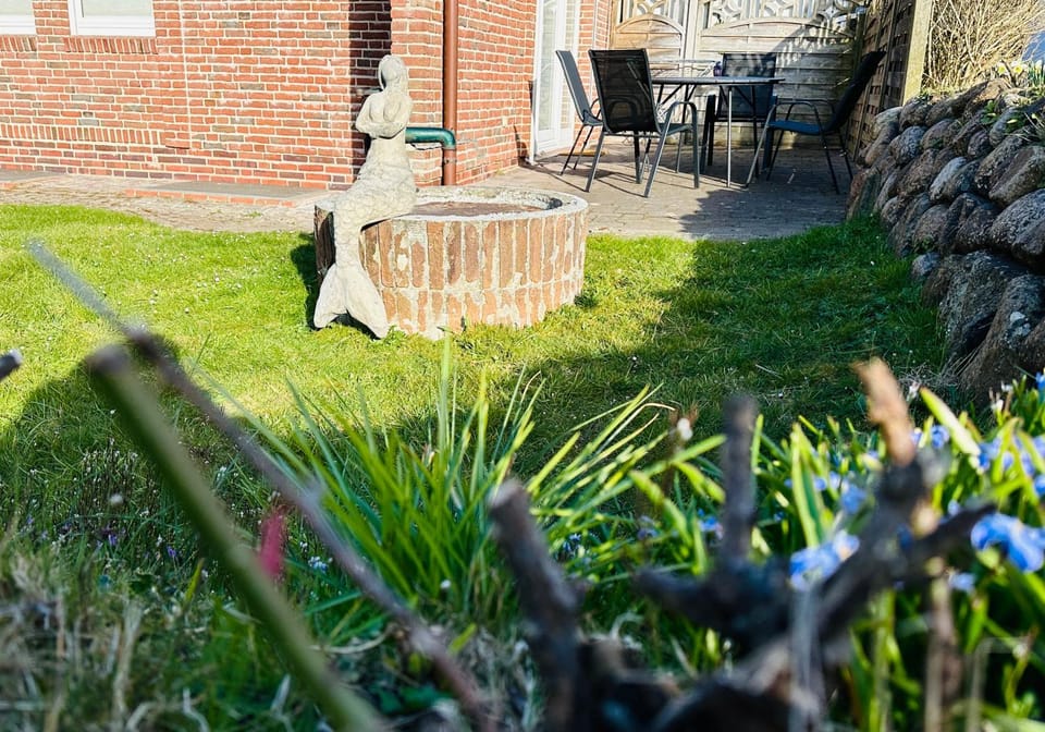 Property building, Garden view