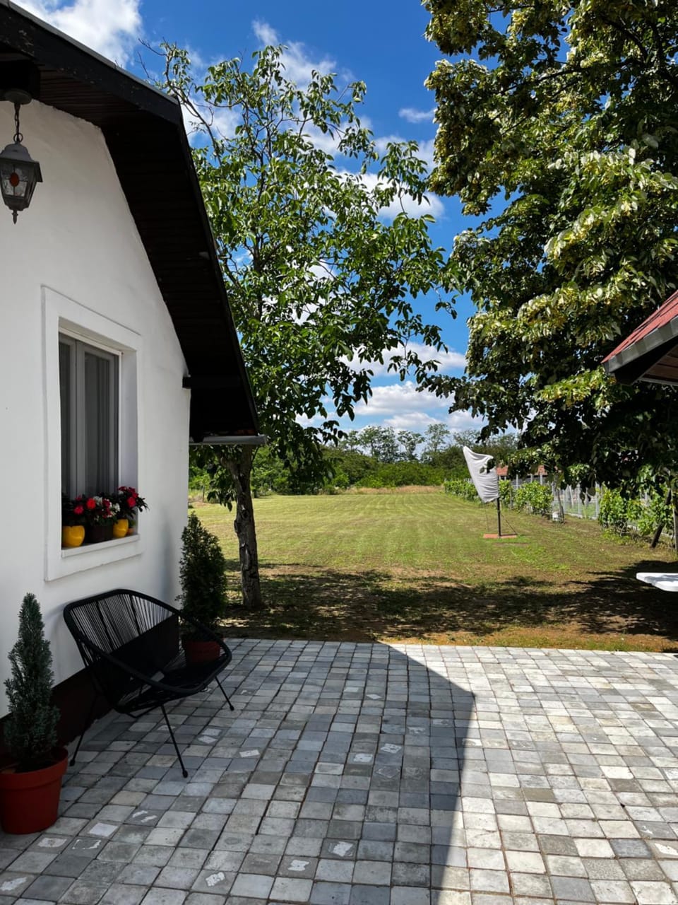 Terrazzo house House in Vojvodina