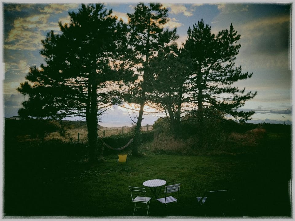 Natural landscape, Garden view, Sunset