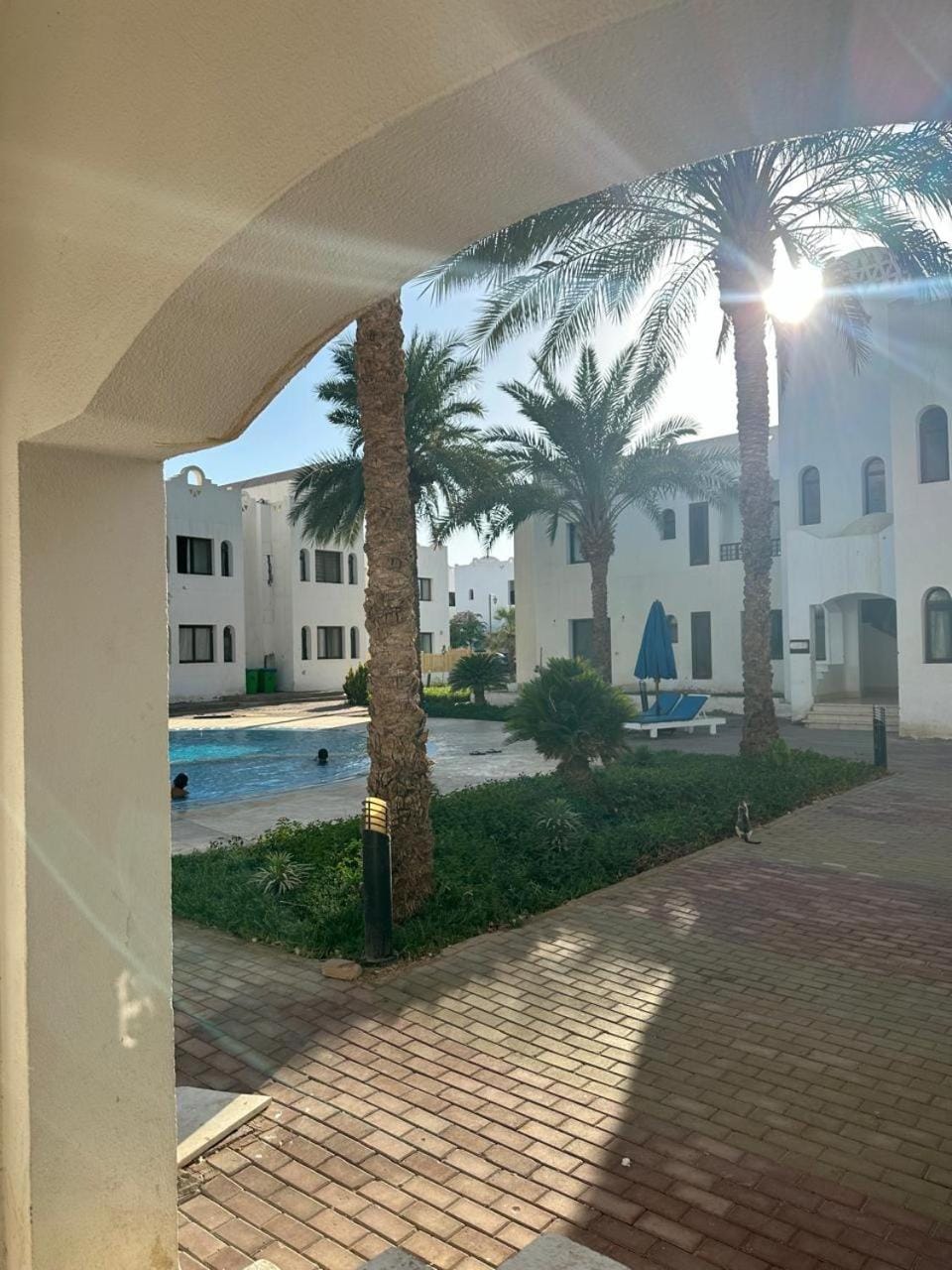 Pool view, Swimming pool
