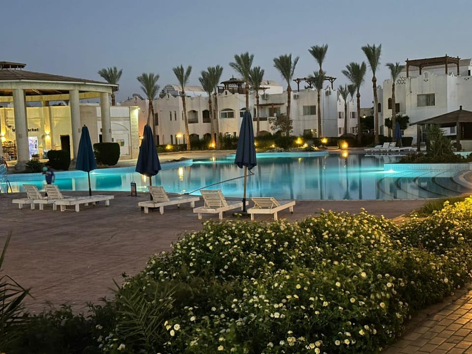 Pool view, Swimming pool, sunbed