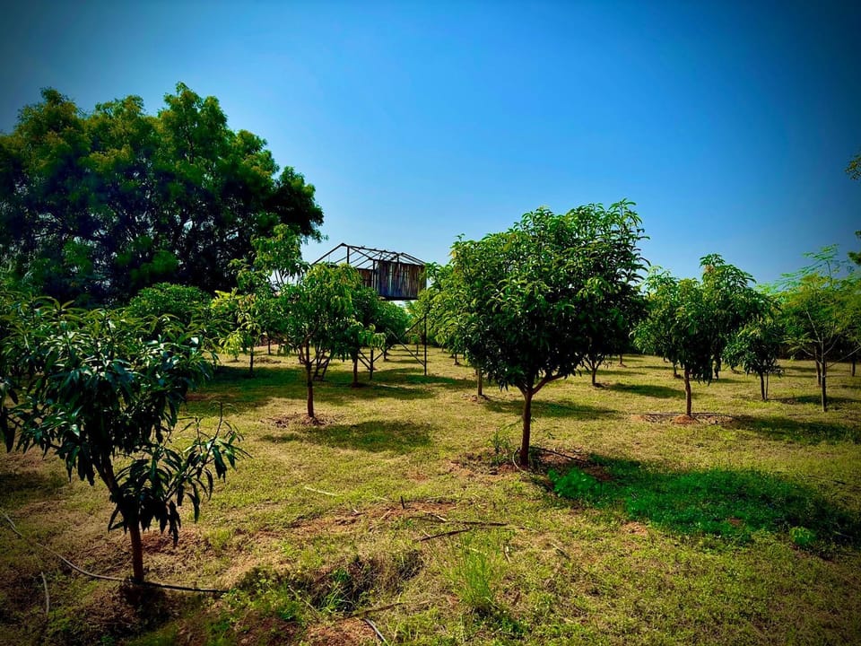 MangoHut Farmhouse Pool Villa House in Telangana