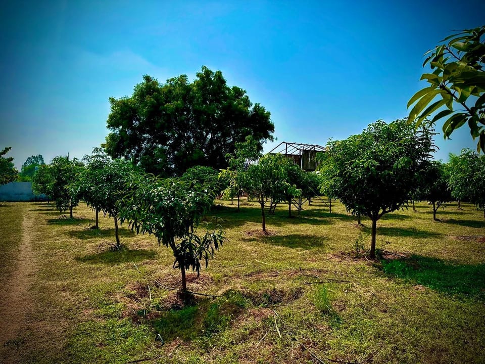 MangoHut Farmhouse Pool Villa House in Telangana