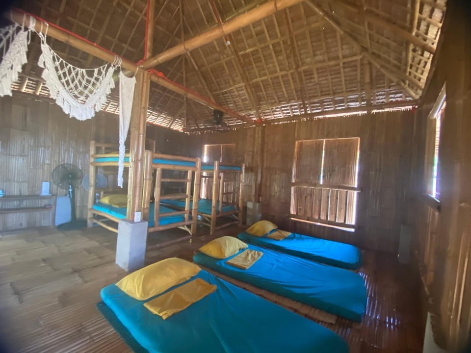 Bed, Photo of the whole room, bunk bed