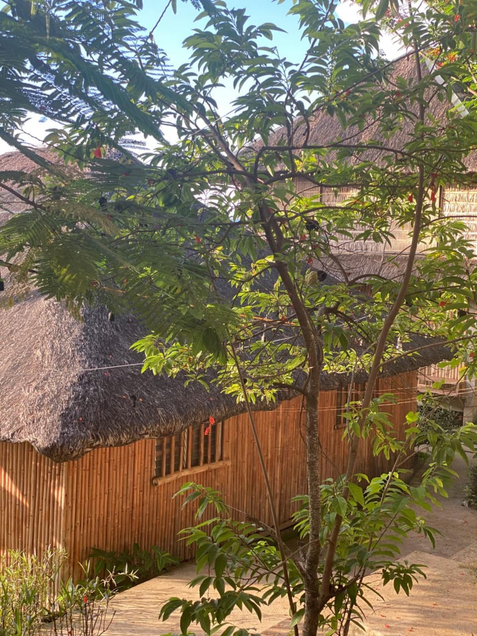 Property building, Garden, Garden view