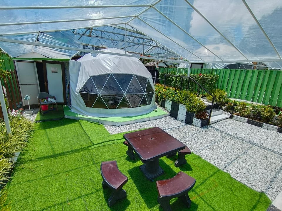 Patio, Garden, Bathroom, View (from property/room), Seating area, Dining area