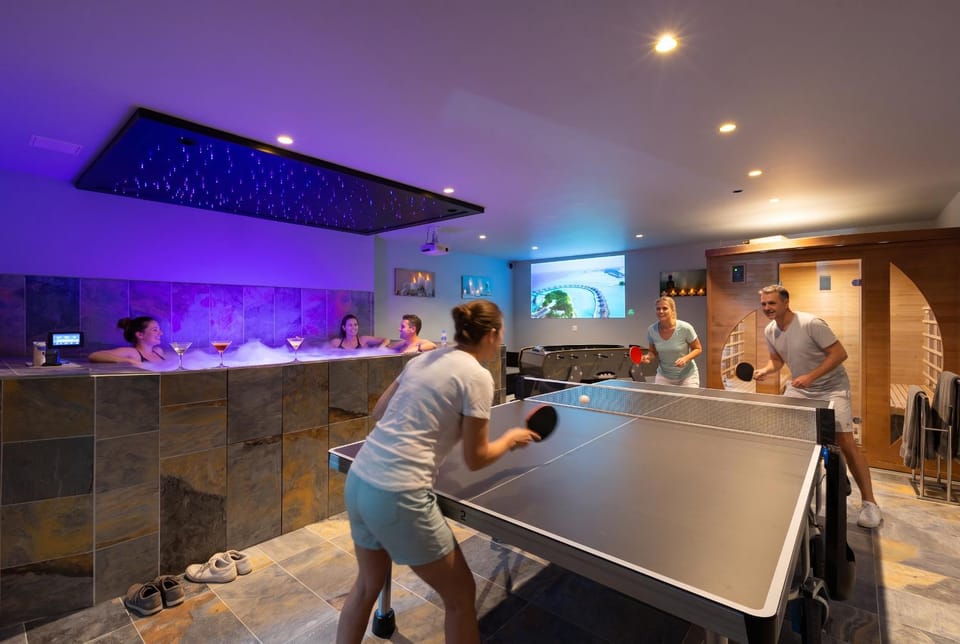 Villa Lion - SPA Privé, Climatisation, Sauna, Borne d'arcade, Babyfoot Villa in Grand Est