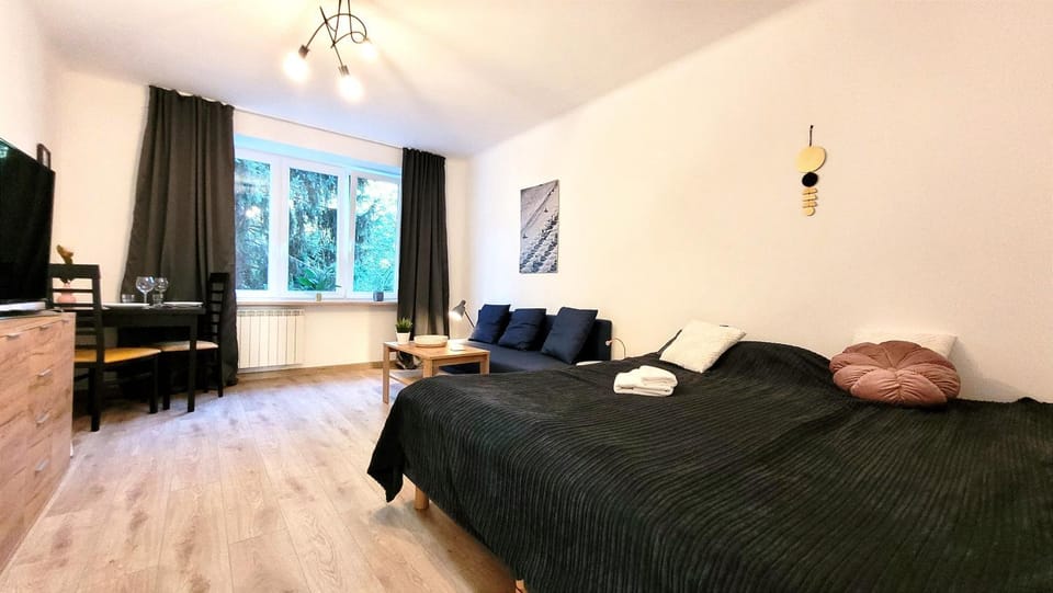 Bed, TV and multimedia, Living room, Photo of the whole room, Seating area
