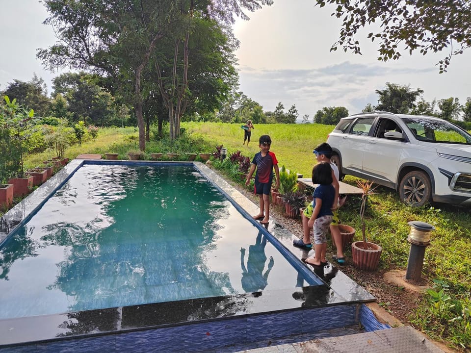 Day, People, Garden, Garden view, Pool view, Swimming pool, group of guests
