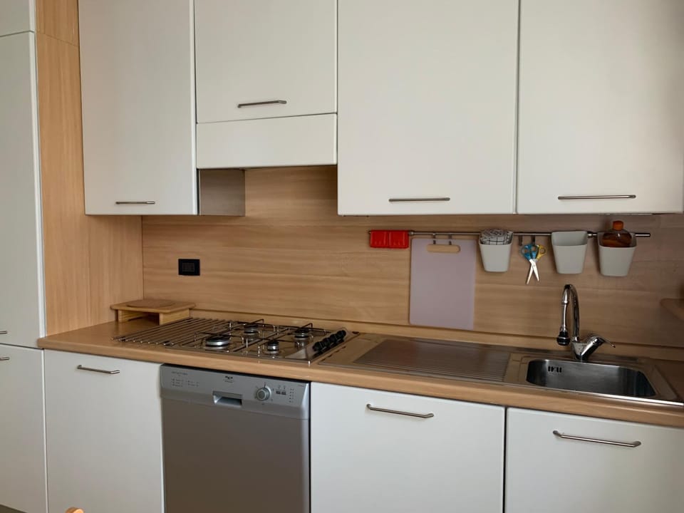 Kitchen or kitchenette, dishwasher