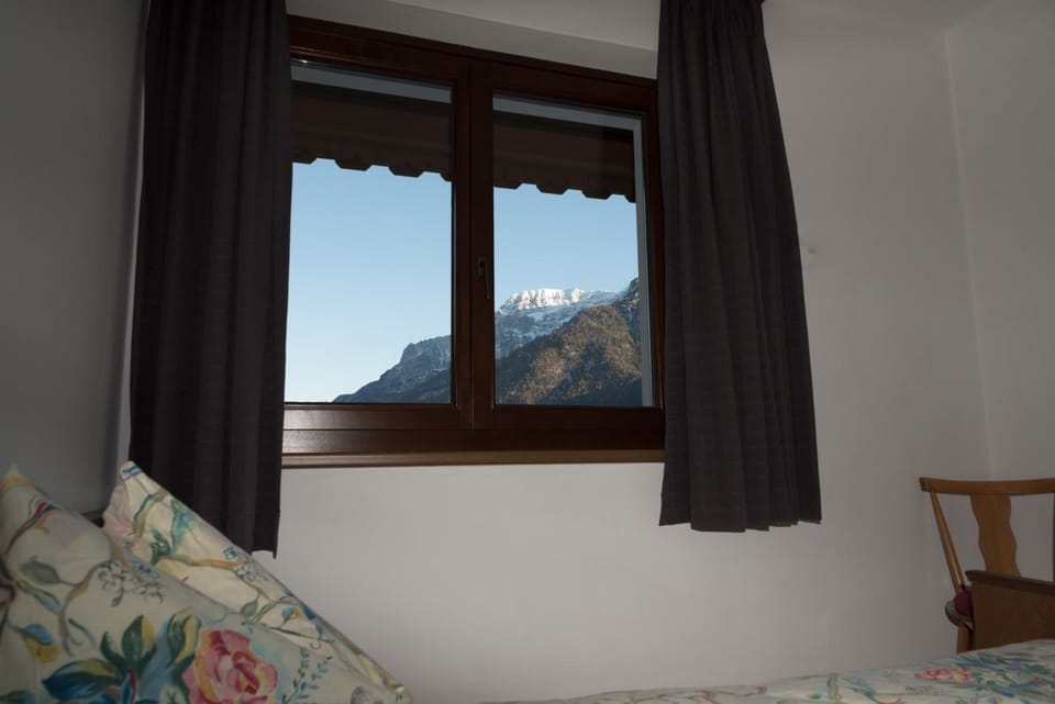 View (from property/room), View (from property/room)