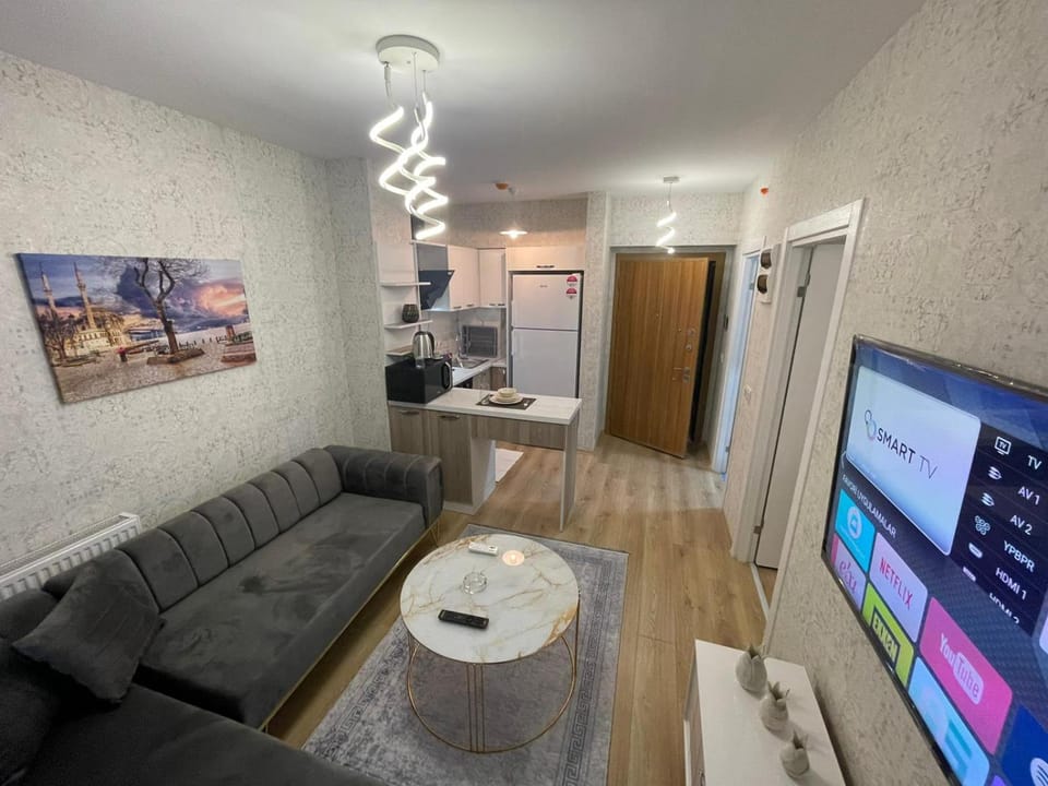 TV and multimedia, Kitchen or kitchenette, Living room, Seating area, oven