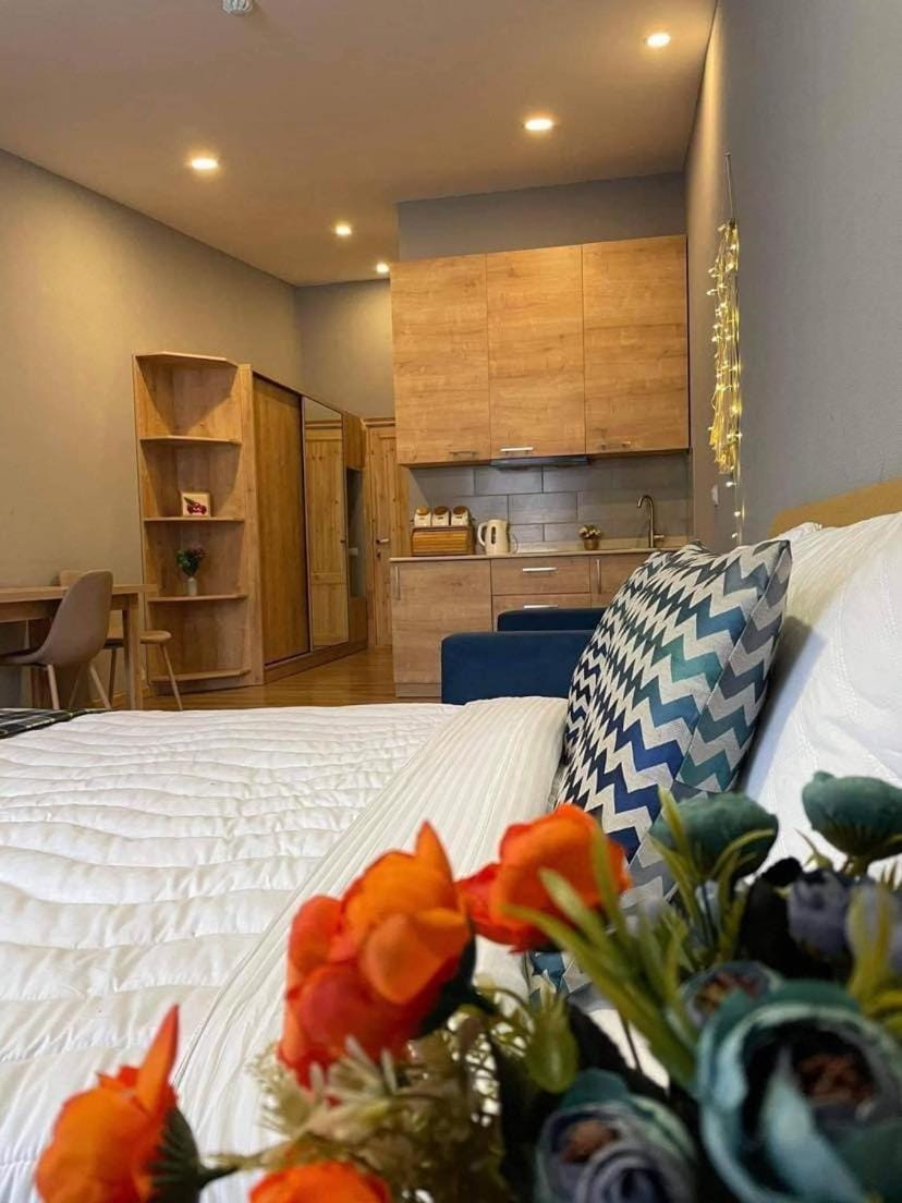 Bed, Kitchen or kitchenette, Living room, Photo of the whole room, Seating area, Bedroom