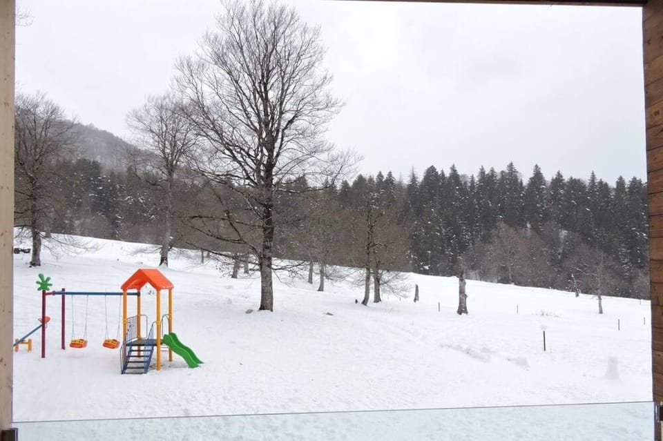 Day, Natural landscape, Winter, Children play ground