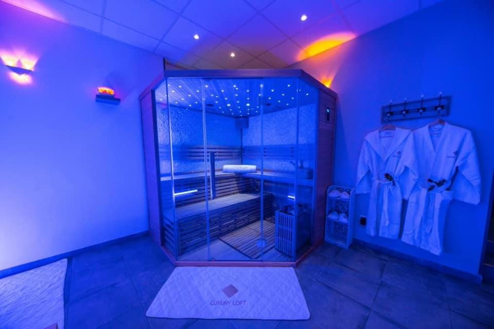 Loft privatif avec jacuzzi et sauna Apartment in Saint-Dizier