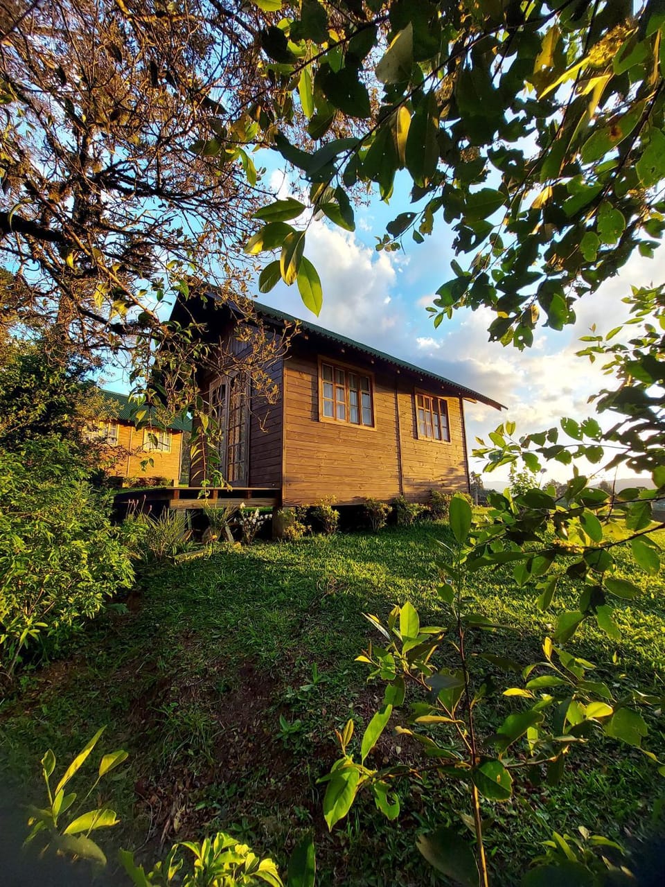 Property building, Garden