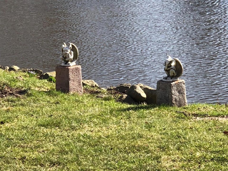 Lake view