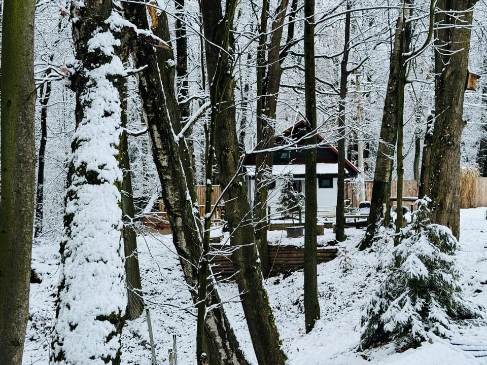Romantyczna Chatka Nature lodge in Lesser Poland Voivodeship