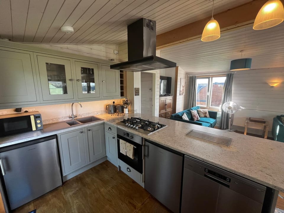Kitchen or kitchenette, Breakfast, dishwasher, stove, stove, kitchen, kitchen