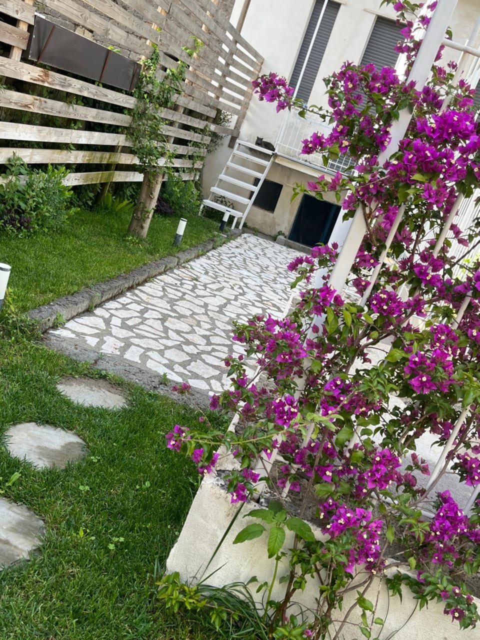 Garden view