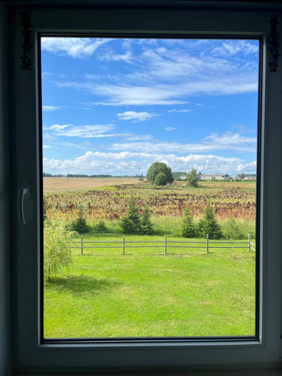 View (from property/room)