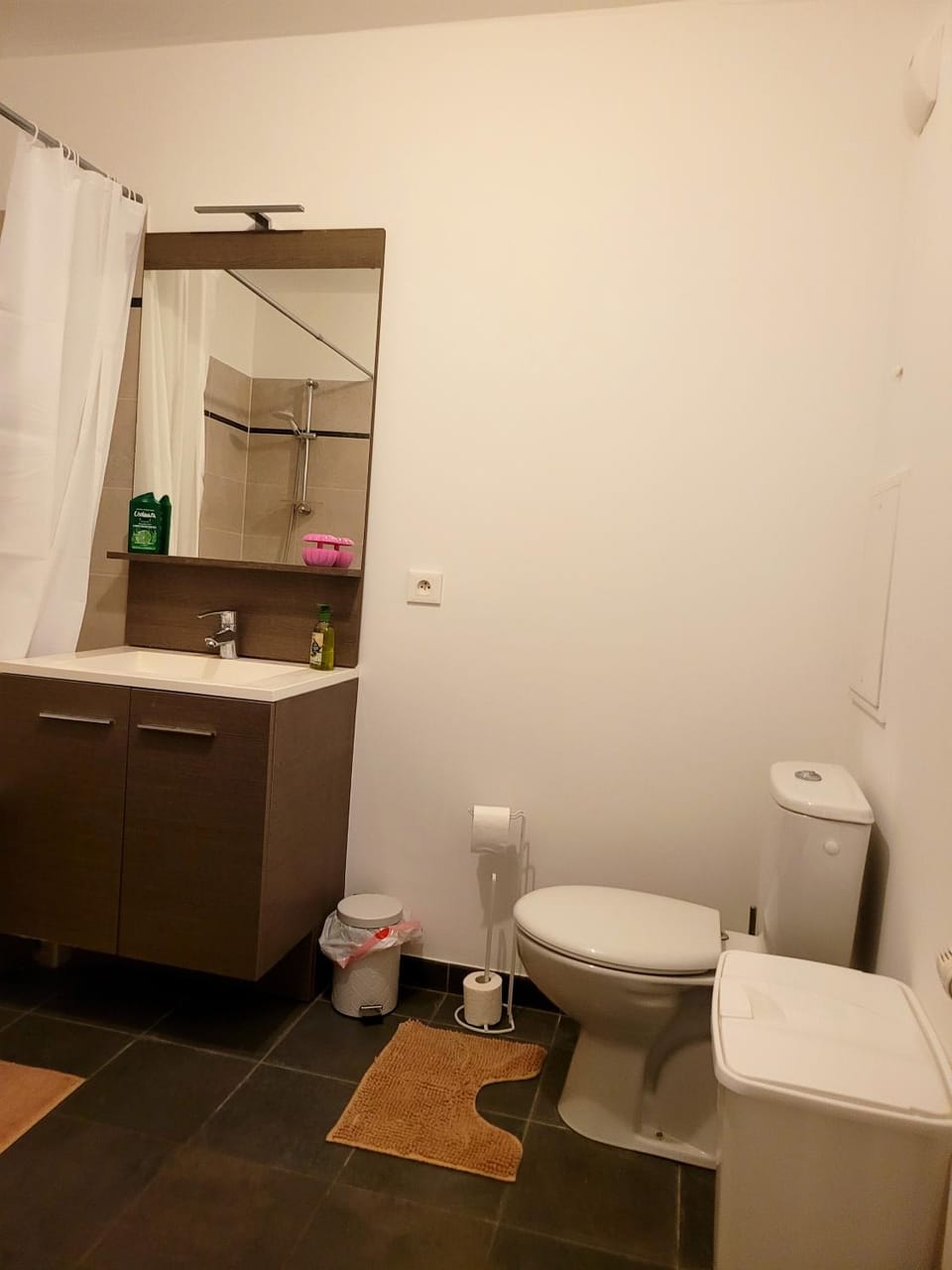 Toilet, Bathroom