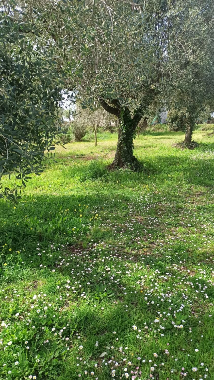 La nostra casetta Apartment in Lazio