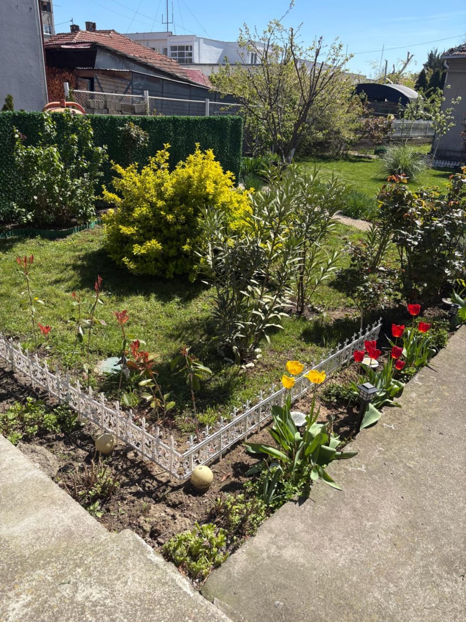 Pro arte Apartment in Serbia