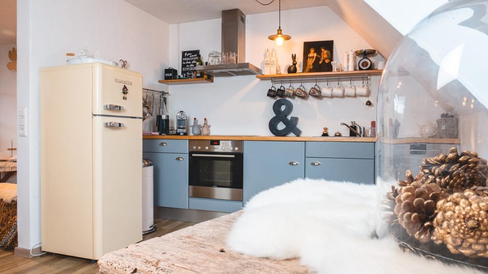Kitchen or kitchenette, kitchen