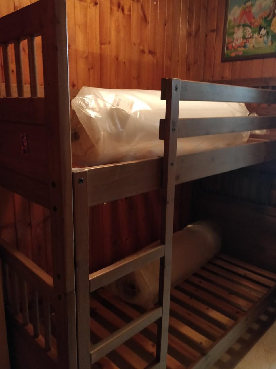 Bed, Photo of the whole room, Bedroom, bunk bed
