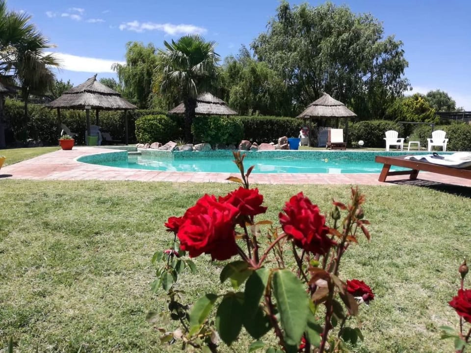 Swimming pool, Swimming pool