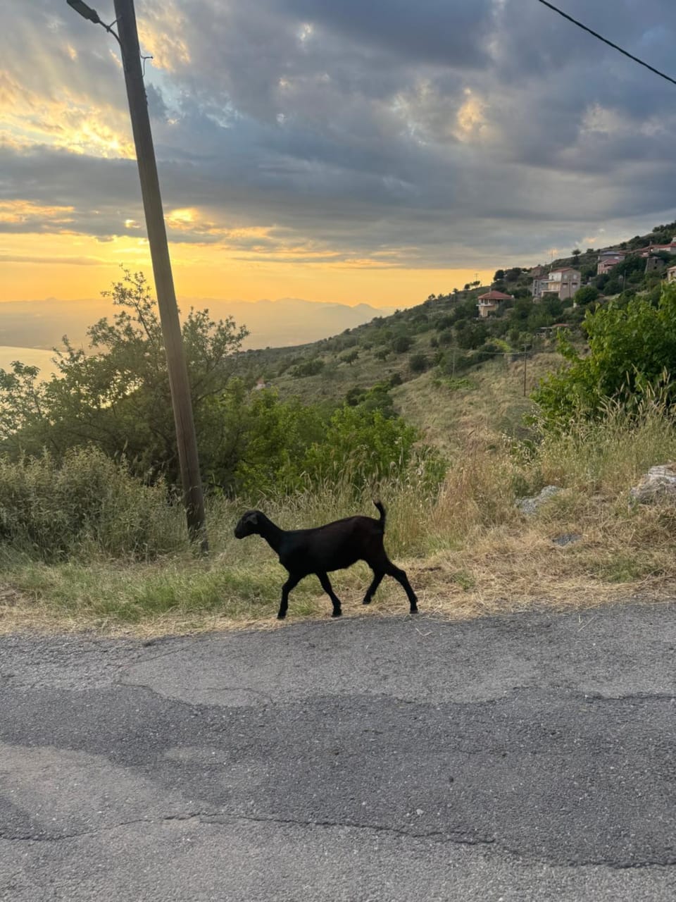 Demi ' s House : Σπίτι στο βουνό με μαγευτική θέα! Apartment in Messenia