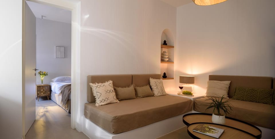 Living room, Photo of the whole room, Decorative detail, Seating area