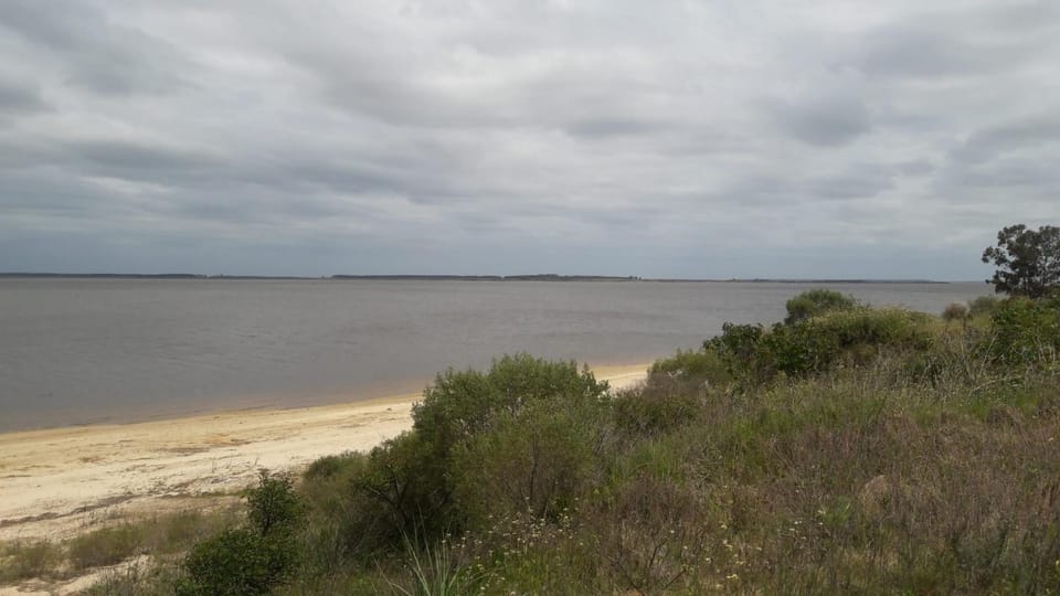 Natural landscape