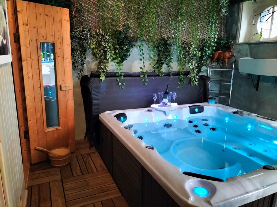 Hot Tub, Spa and wellness centre/facilities