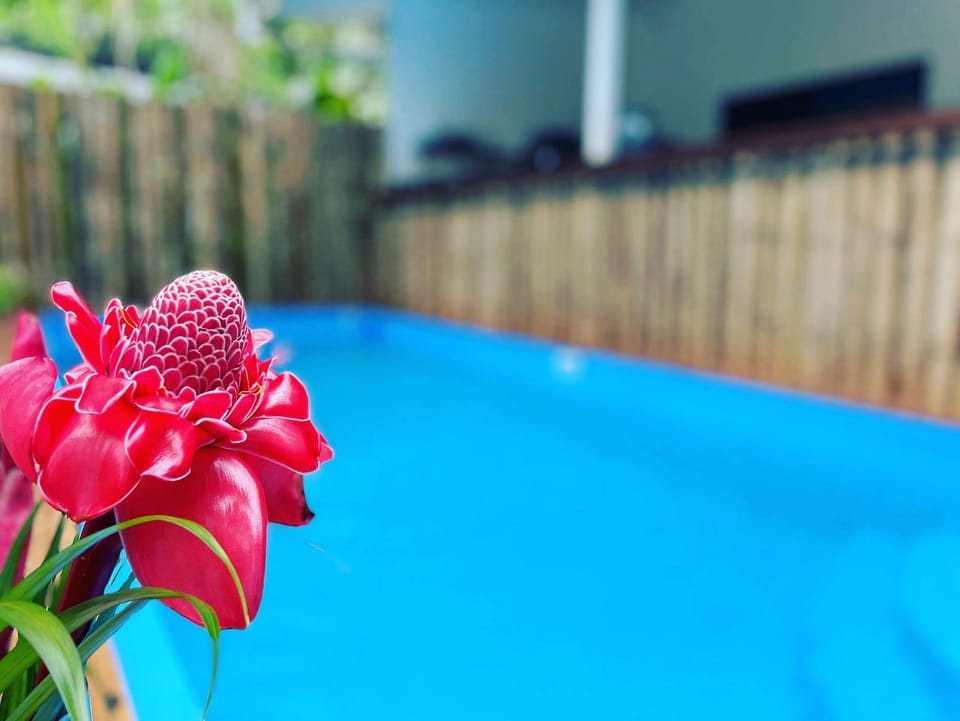 Brand new huge apt with Air Conditioner and a private pool and kitchen Apartment in Panama