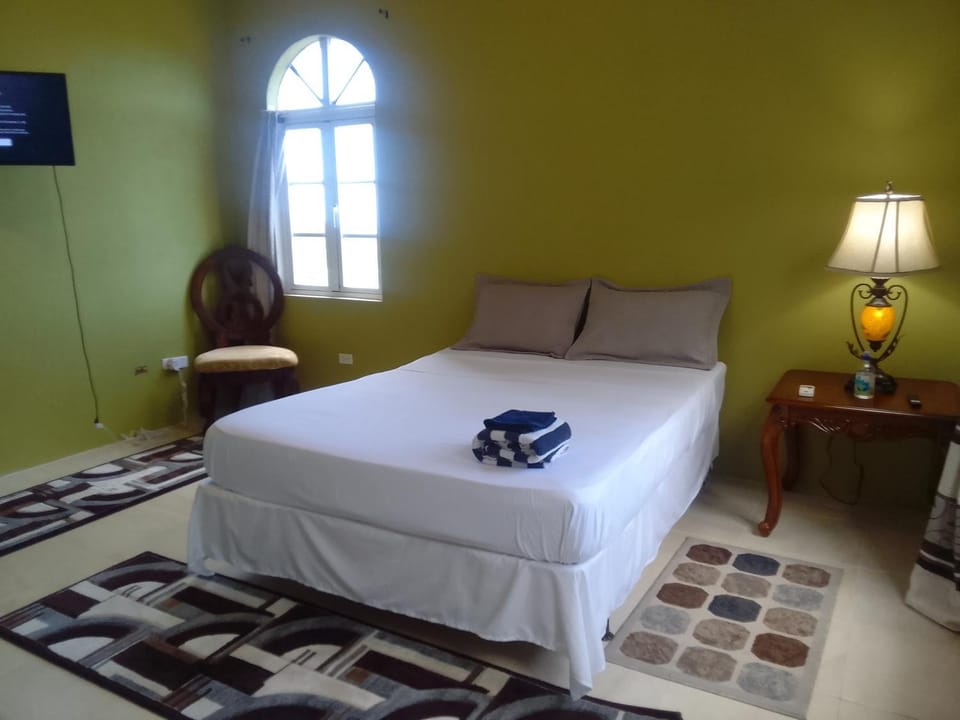 Abigail's Splendor -2 Bedroom Entire Apartment Apartment in Caribbean