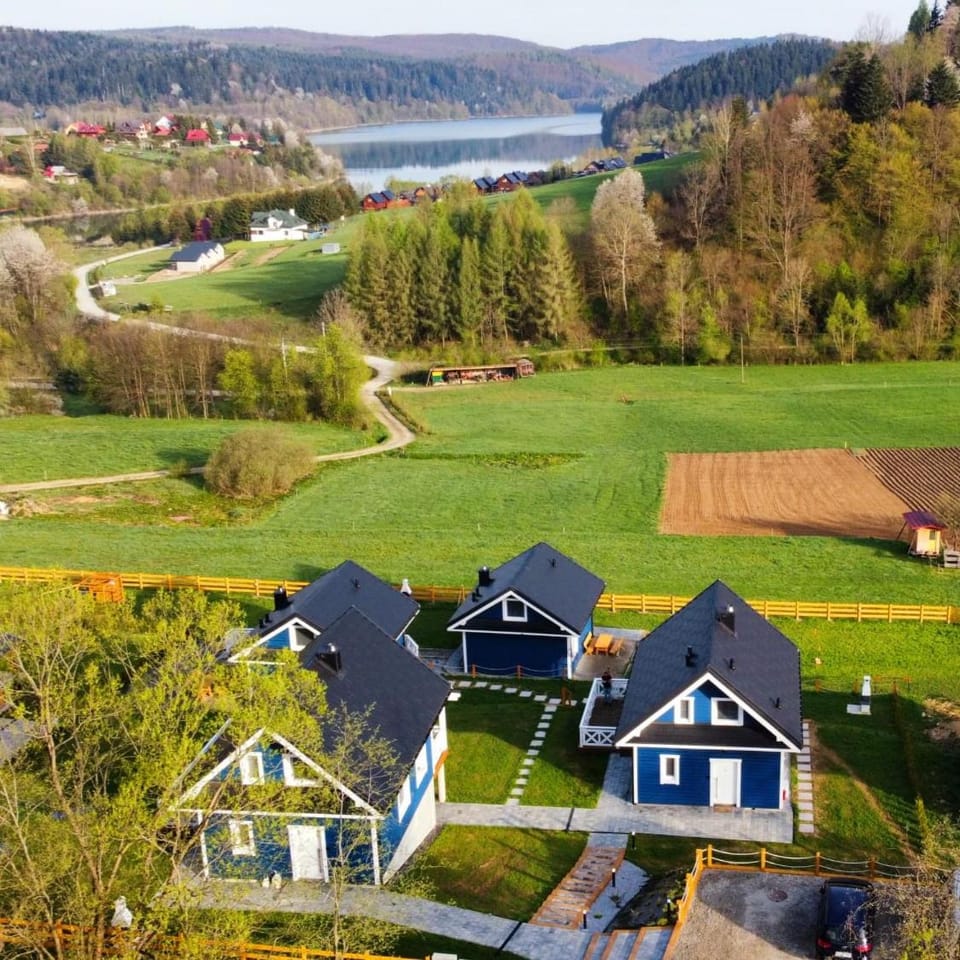Spring, Day, Neighbourhood, Natural landscape, Bird's eye view, Lake view