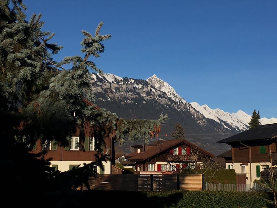 Mountain view