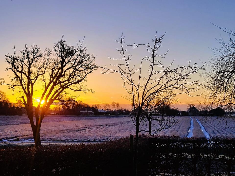 Natural landscape, Winter, View (from property/room), View (from property/room), On site, Garden view, Garden view, Street view, Street view, Seasons, Sunrise, Quiet street view