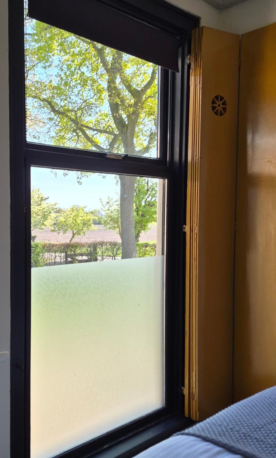 Spring, Bed, Natural landscape, View (from property/room), Bedroom, Garden view, Quiet street view