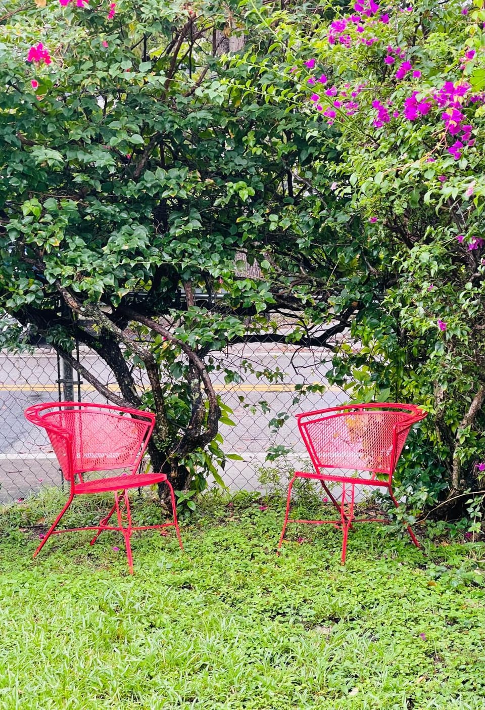 Garden view