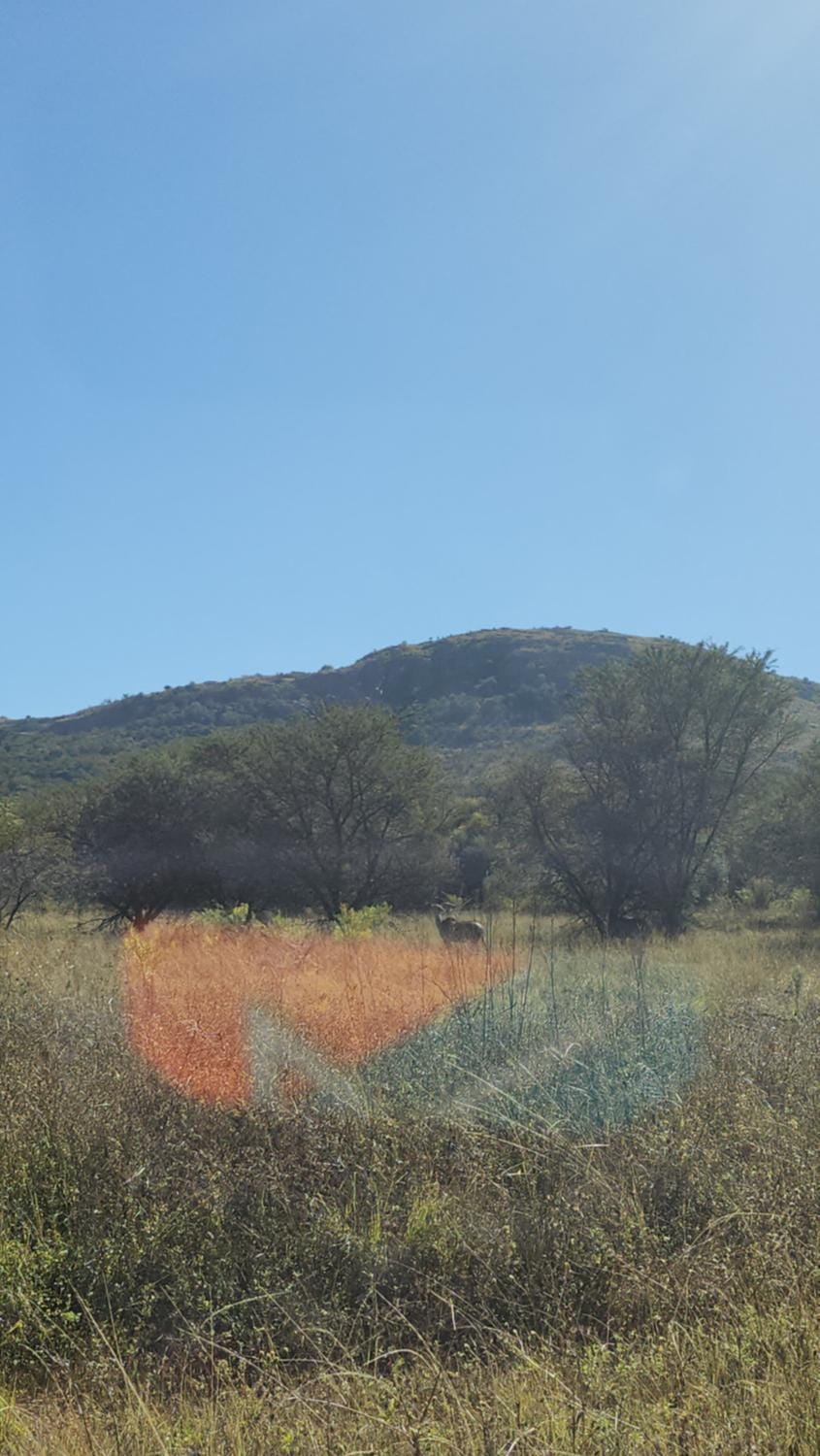 Day, Natural landscape, Mountain view