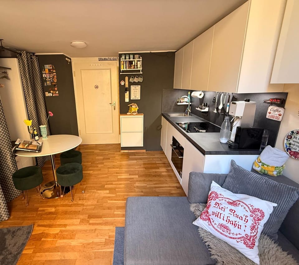 Kitchen or kitchenette, Living room, Seating area, Dining area, oven, stove