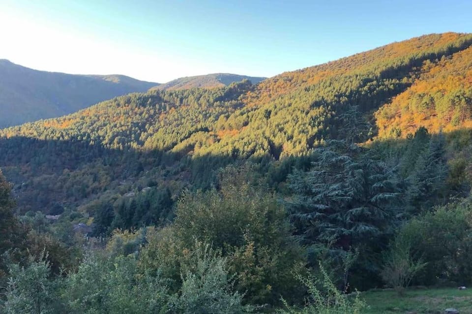 Mountain view